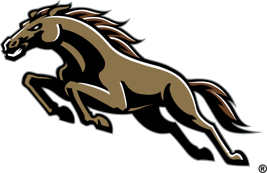 Western Michigan Broncos 1998-2016 Secondary Logo v3 iron on transfers for clothing